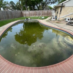 Pool cleaning and maintenance at a residential swimming pool